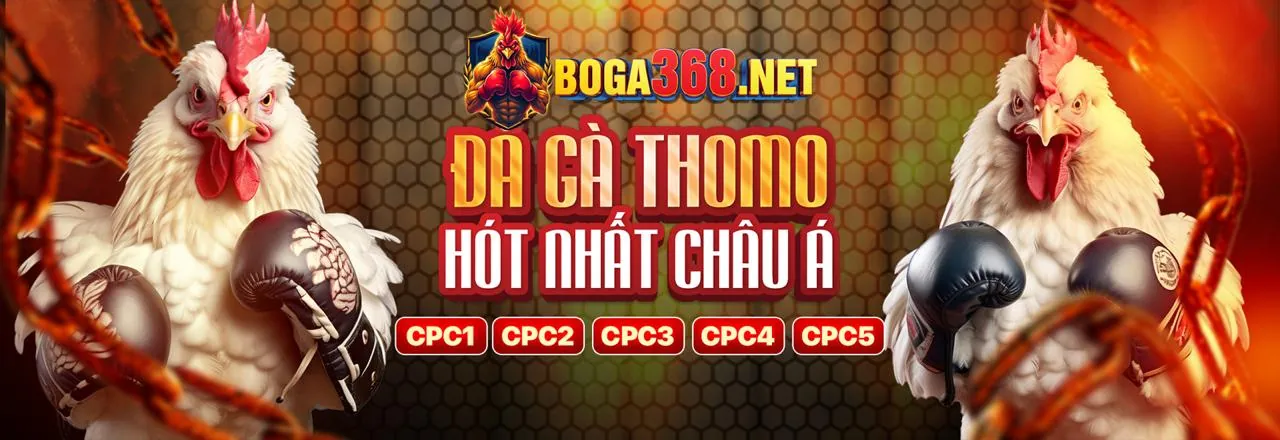 Đá gà trực tuyến DEBET - Sân đấu đỉnh cao